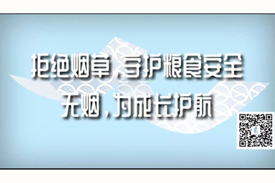 臊网站拒绝烟草，守护粮食安全